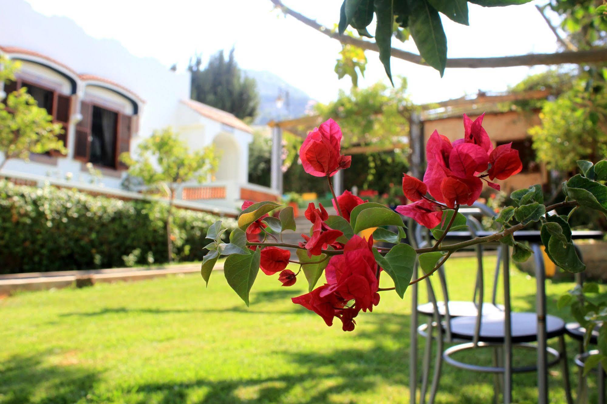 Riad Dar Achaach Tetouan Exterior photo